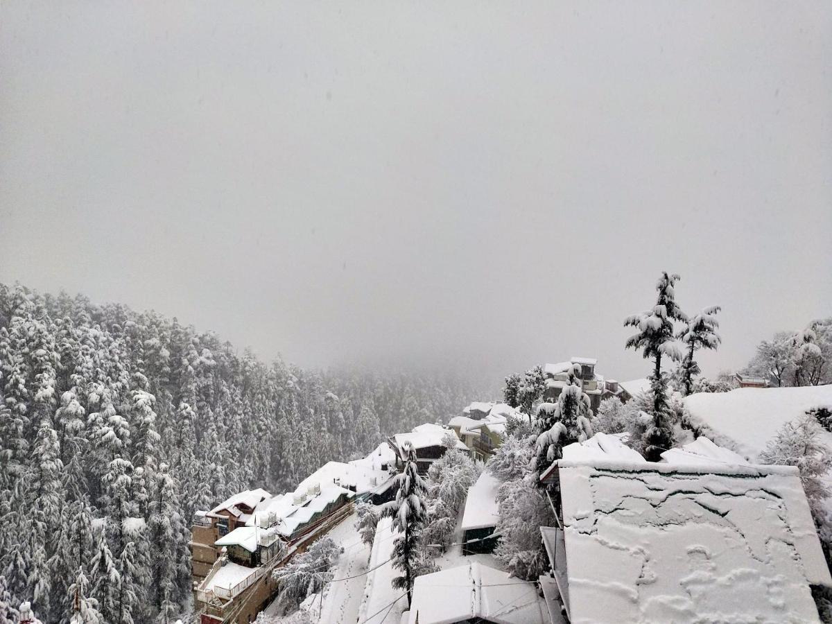 Neha Homestay Шімла Екстер'єр фото