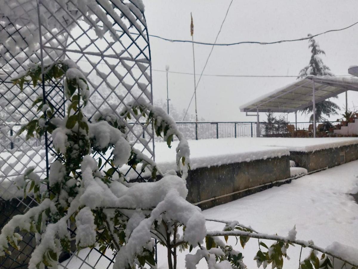 Neha Homestay Шімла Екстер'єр фото